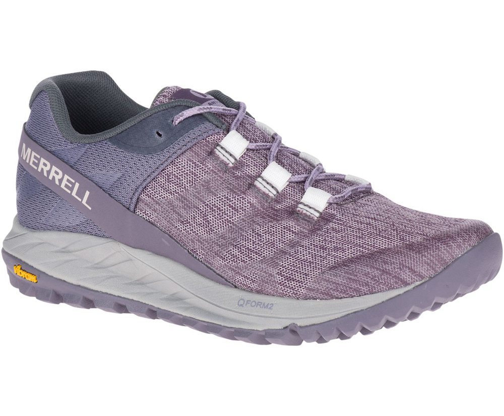 Buty Sportowe Merrell Damskie Fioletowe - Antora - 916837-REB